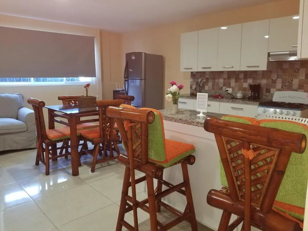 Aparthotel Apartamentos Roman Santo Domingo