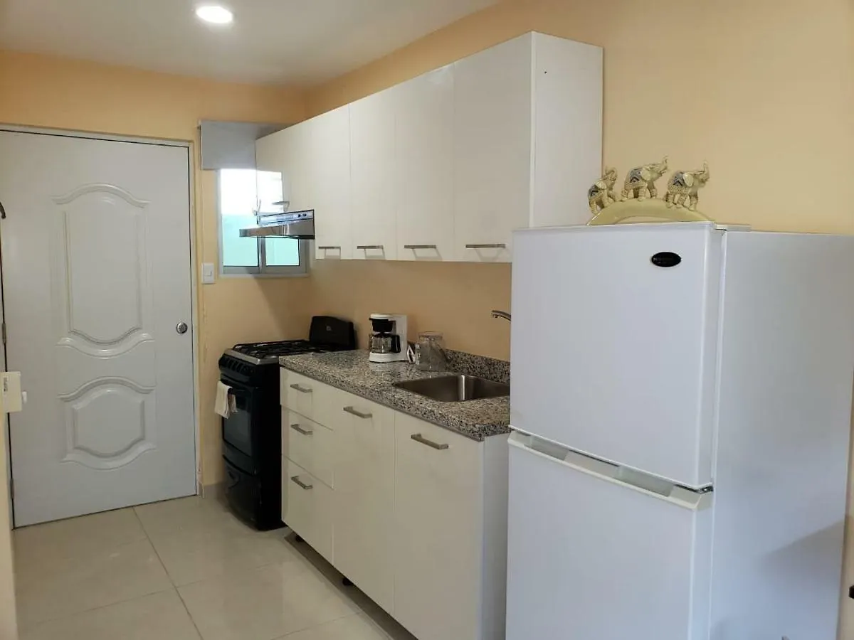 Aparthotel Apartamentos Roman Santo Domingo