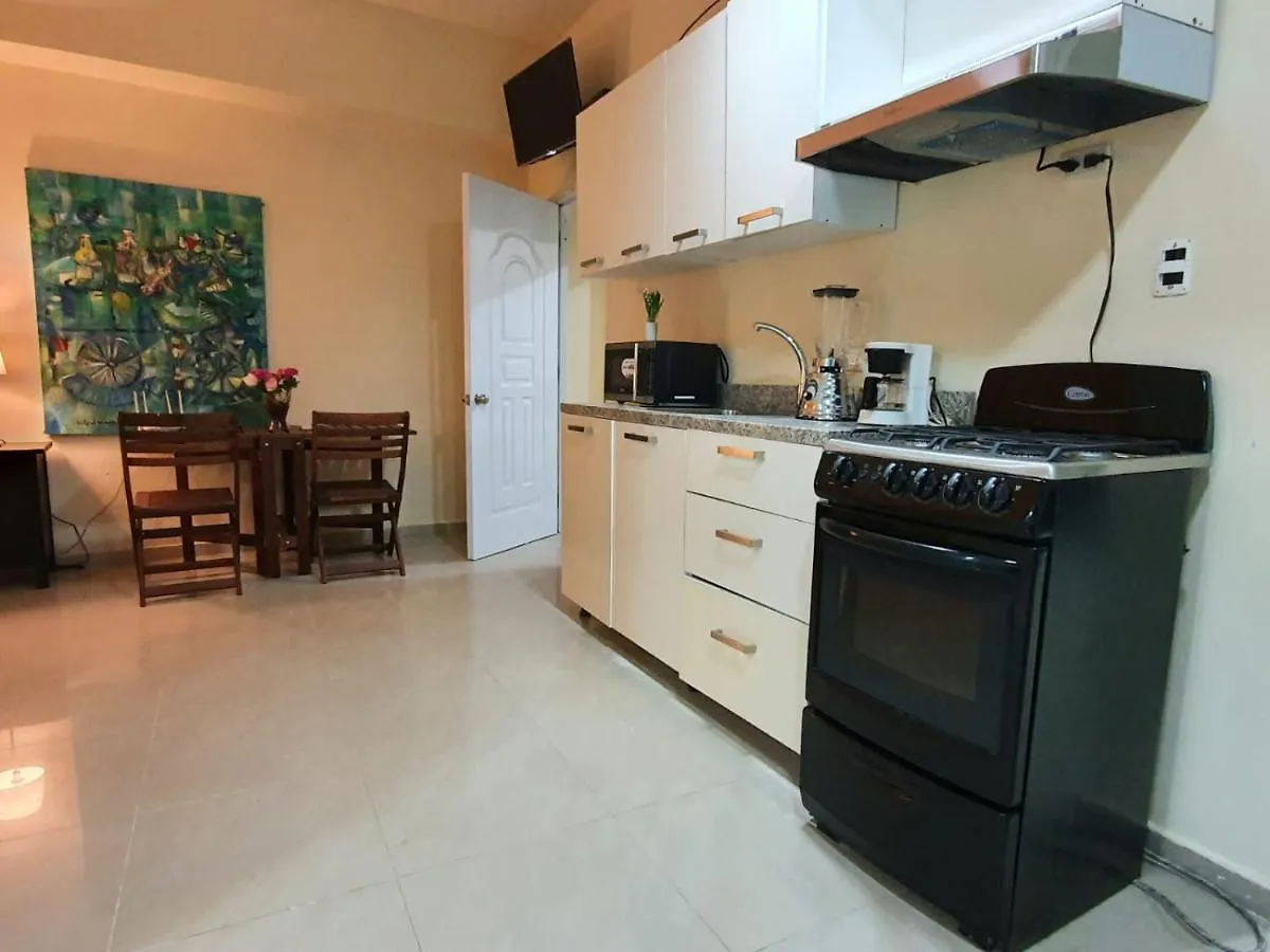 Aparthotel Apartamentos Roman Santo Domingo
